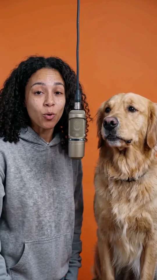 A young woman and a golden retriever side by side at a hanging microphone in front of an orange backdrop