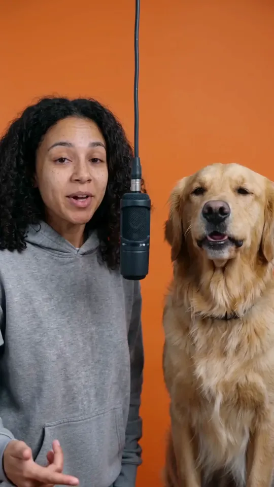 A young woman and a golden retriever side by side at a hanging microphone in front of an orange backdrop