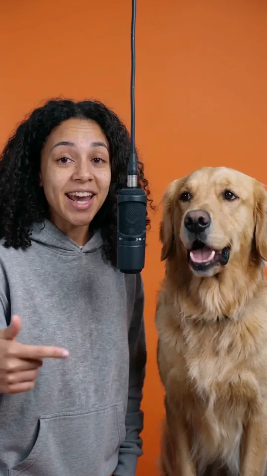A woman and her golden retriever at a hanging microphone in an orange booth