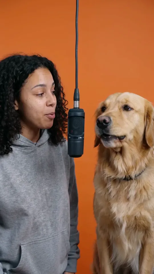 A young woman and a golden retriever side by side at a hanging microphone in front of an orange backdrop